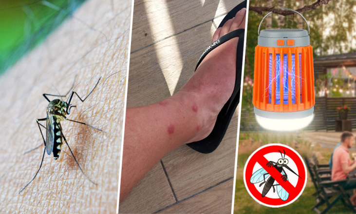 Zap Guardian to stay safe this summer from mosquitoes